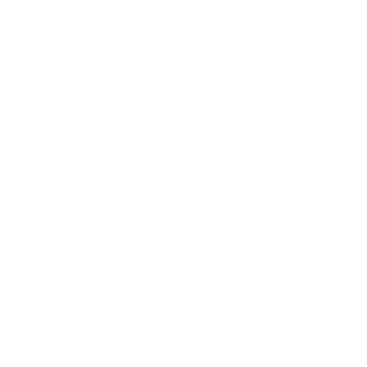 Youth for Privacy logo